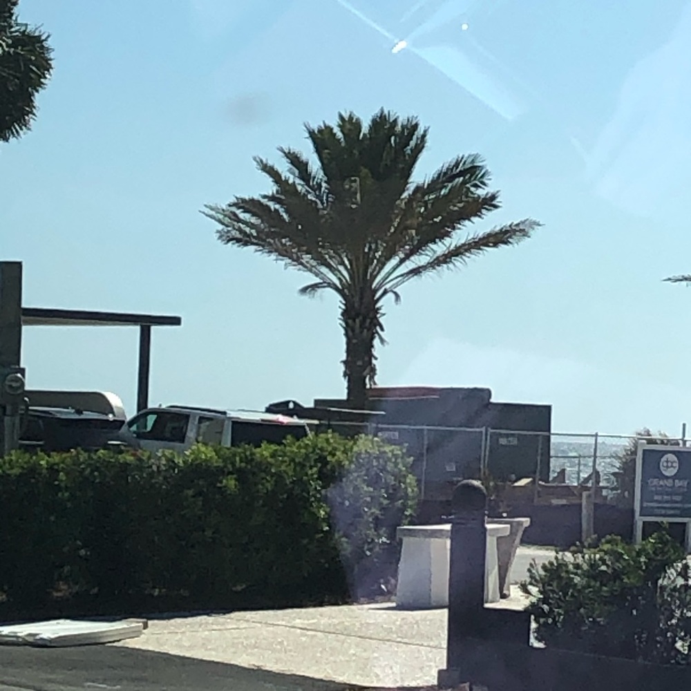 Meet your Posher, William